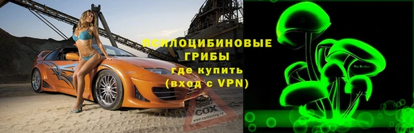 экстази Богородицк
